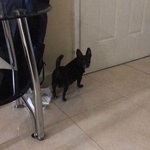 Meet your Posher, Madelyn